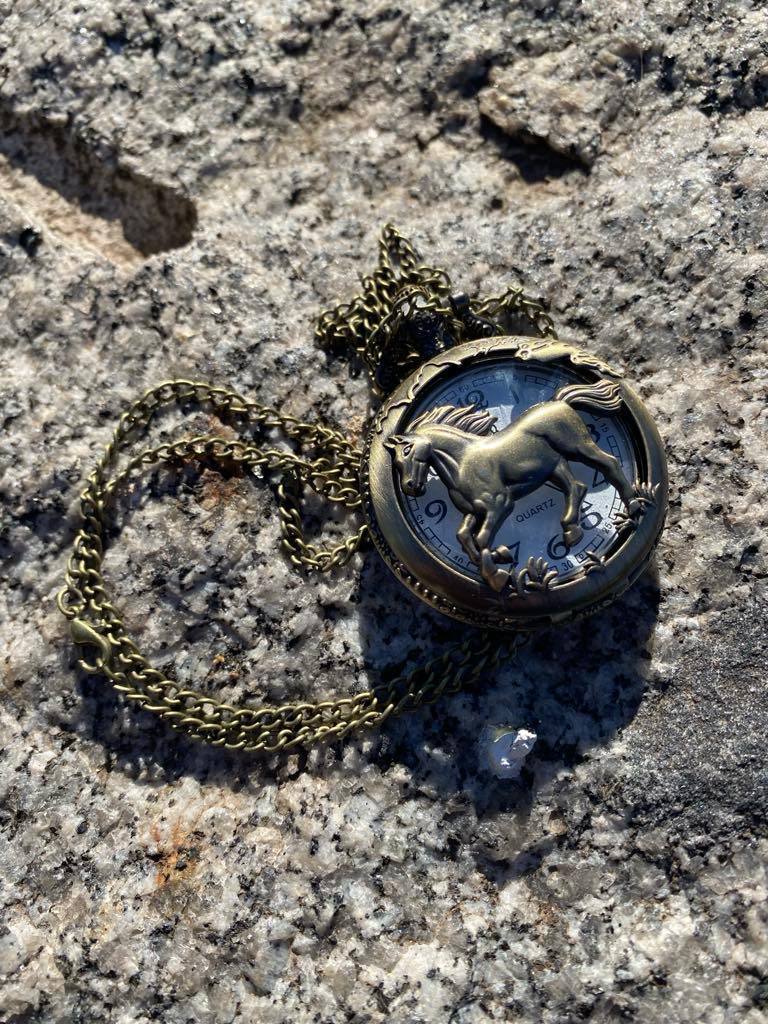Pocket Watch – wild horses
