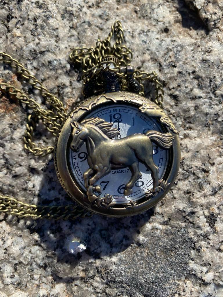 Pocket Watch – wild horses