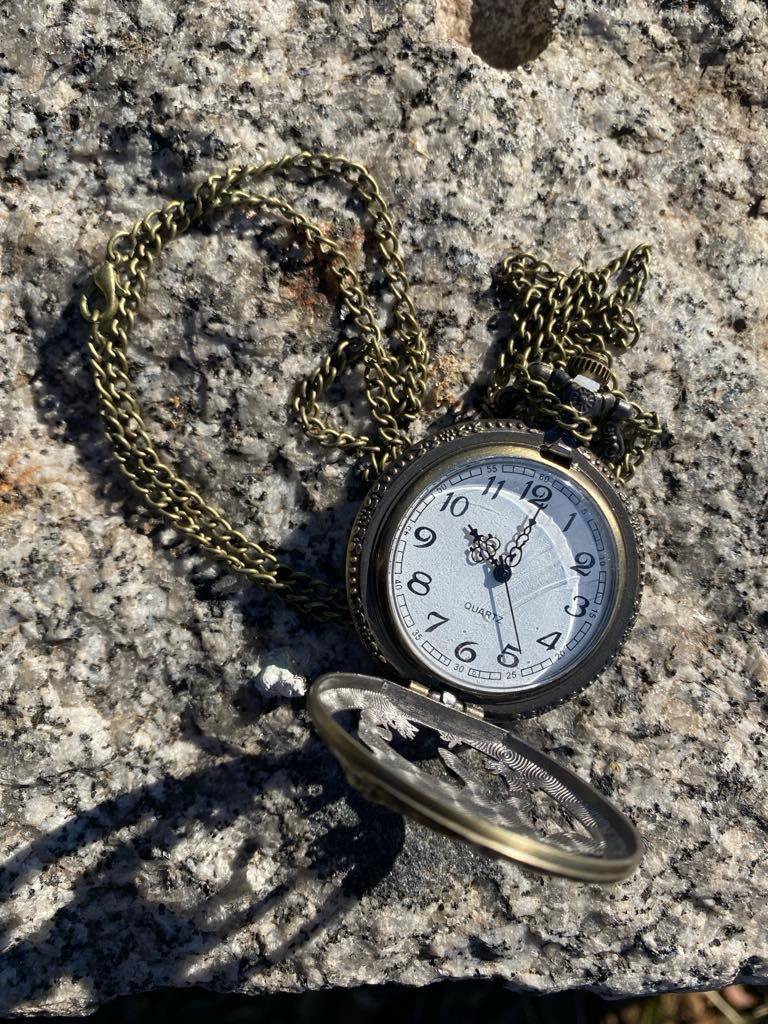 Pocket Watch – wild horses