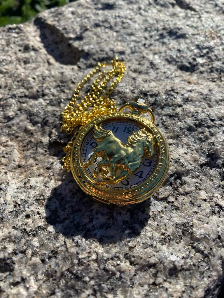 Pocket Watch – wild horses